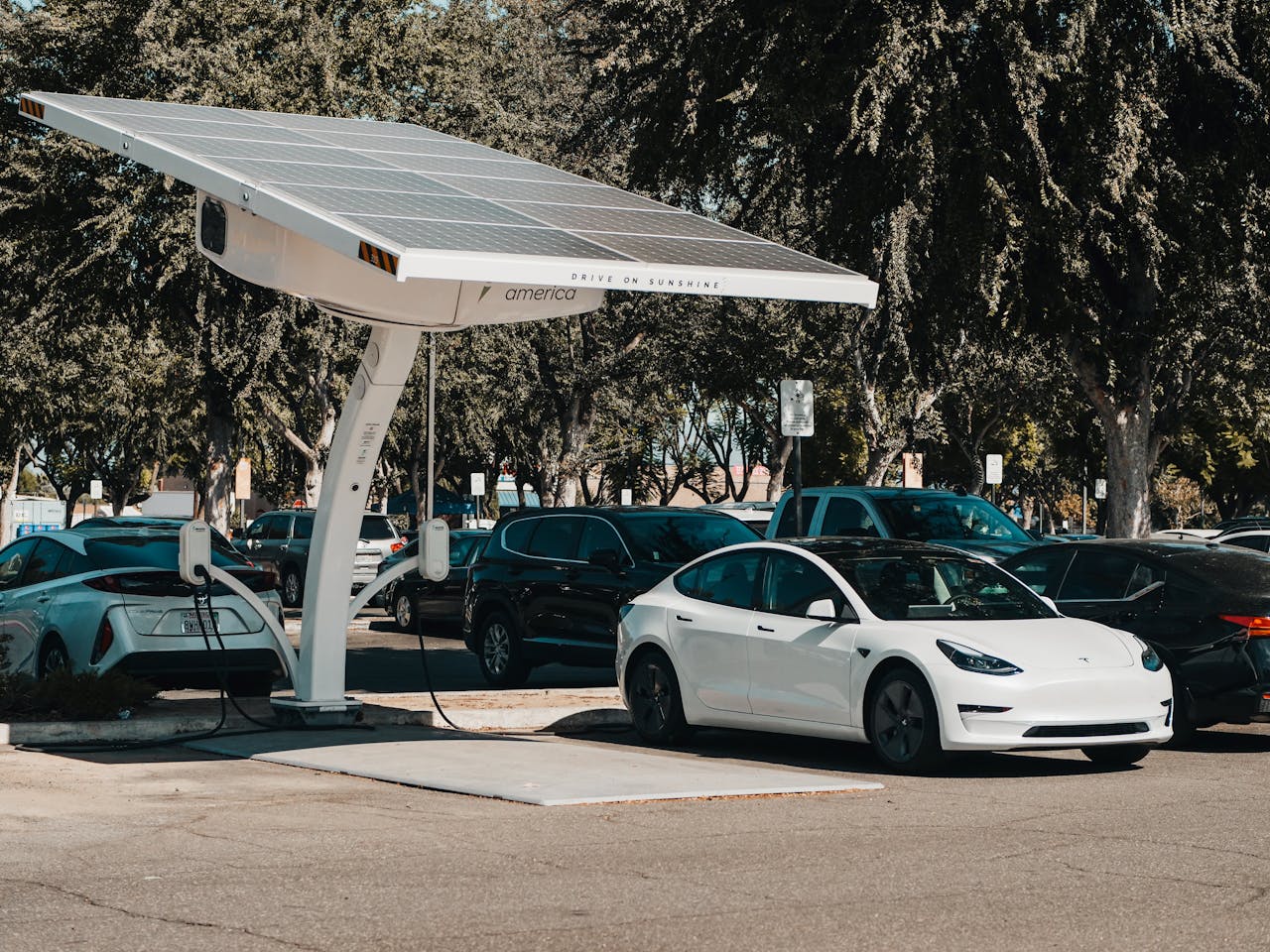 Carro elétrico e carro híbrido: afinal, qual é o melhor?